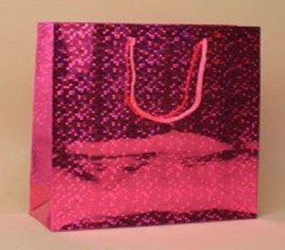 Pink Holographic Foil Gift Bag