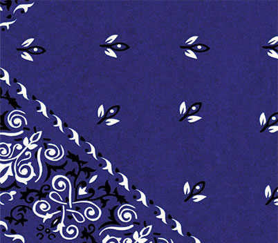 Bandanna Blue
