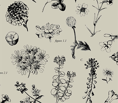 Botanical Bonanza Tissue