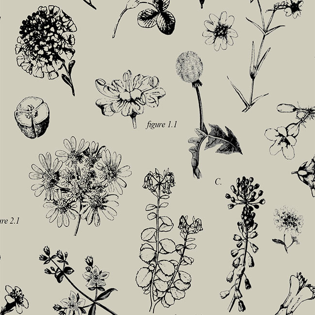 Botanical Bonanza Tissue