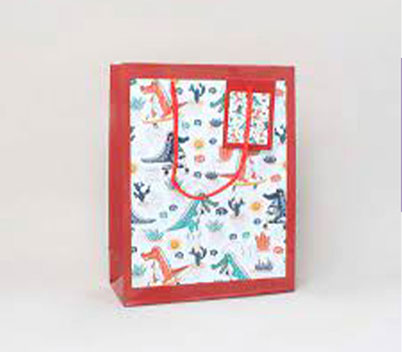 Crocodile Gift Bag