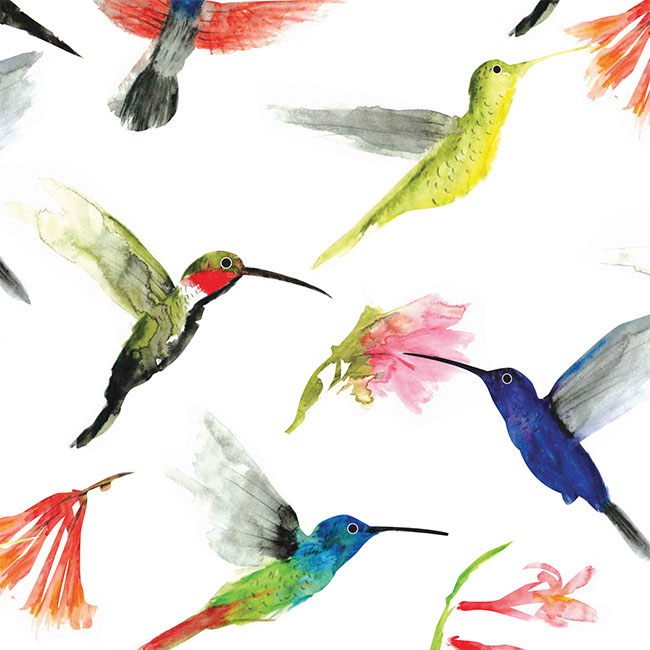 Hummingbirds Tissue