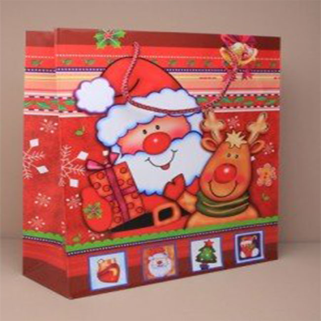 Santa & Reindeer Gift Bags