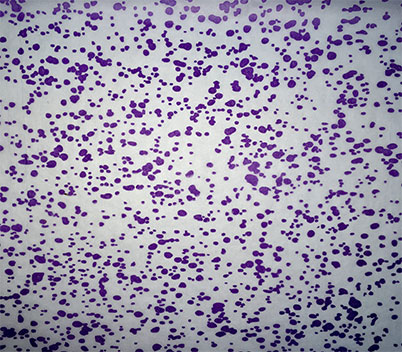 Speckle Print Tissue Paper