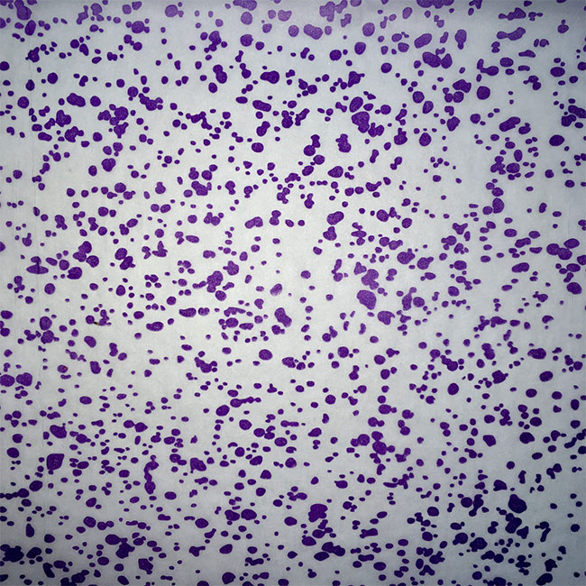 Speckle Print Tissue