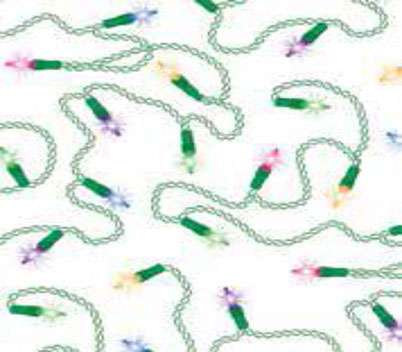 String Of Lights