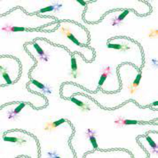 String Of Lights Tissue