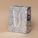 Silver Holographic Foil Gift Bag 21.5x18x7.5cm