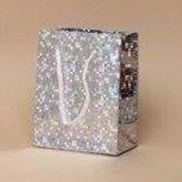 Silver Holographic Foil Gift Bag 14.5x11.5x6.5cm