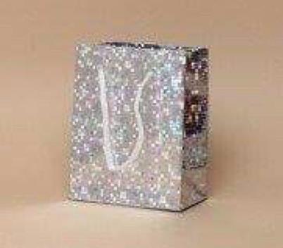 Silver Holographic Foil Gift Bag 21.5x18x7.5cm Mailing Bags R Us