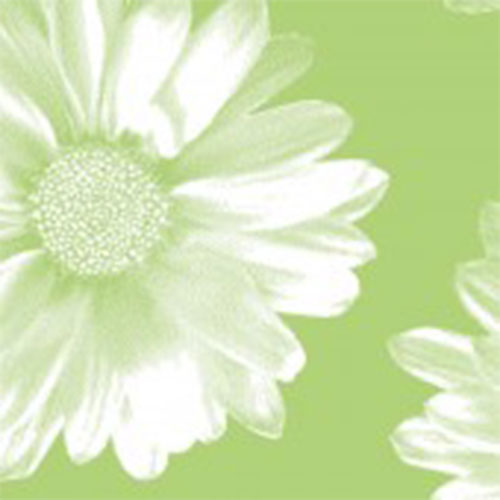 Big Flower Green Tissue