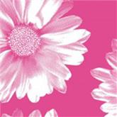 Big Flower Pink Tissue