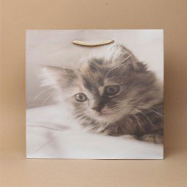 Grey Cat Print Gift Bag
