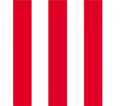Tissue Printed Red Rows