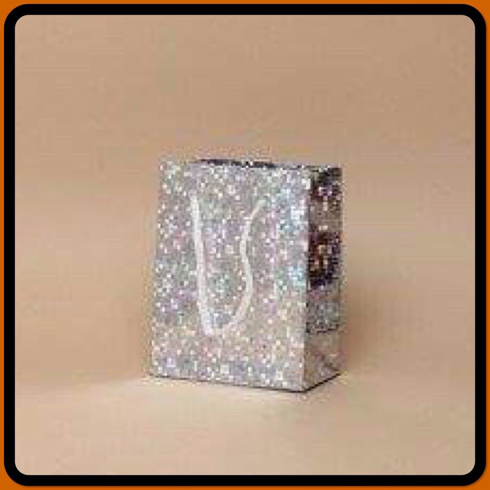 Silver Holographic Foil Gift Bag