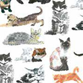Cats & Kittens Tissue