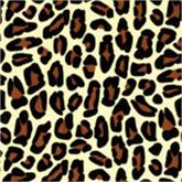 Leopard Tissue