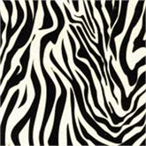 Zebra Tissue